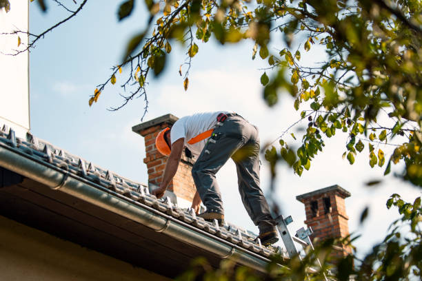 Best Slate Roofing Contractor  in Ecru, MS
