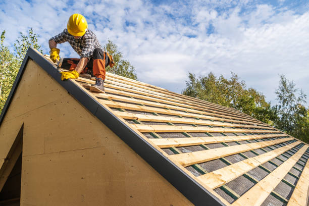 Best Shingle Roofing Installation  in Ecru, MS