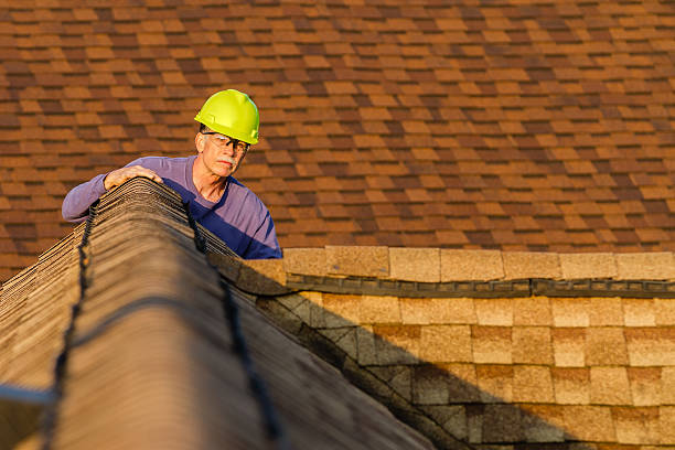 Best Roof Gutter Cleaning  in Ecru, MS