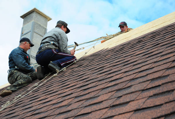 Best New Roof Installation  in Ecru, MS